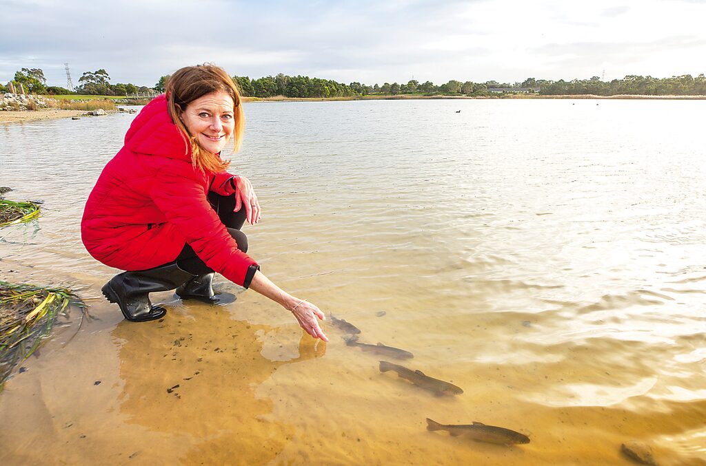 Lakes stocked with rainbow trout for Gippsland fishing fun